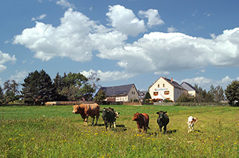 Landhotel Billing, Einzelzimmer